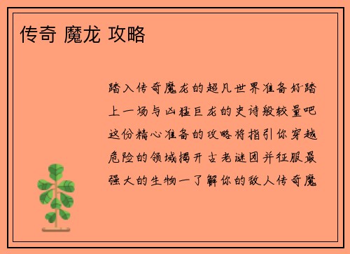 传奇 魔龙 攻略